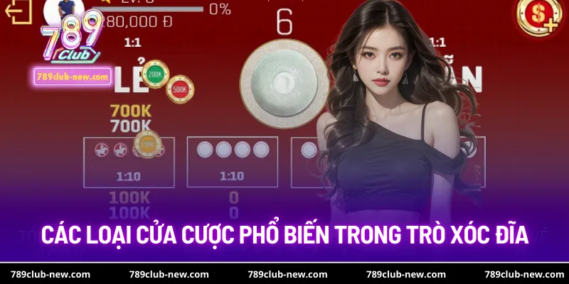 Các loại cửa cược phổ biến trong trò xóc đĩa