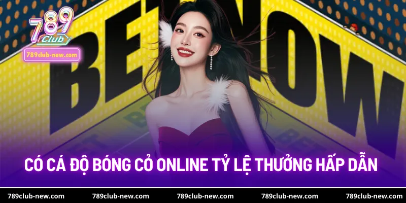 Có cá độ bóng cỏ online tỷ lệ thưởng hấp dẫn