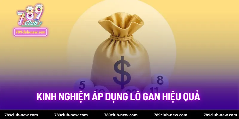 Kinh nghiệm áp dụng lô gan đảm bảo hiệu quả