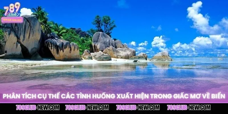 Luận giải từng bối cảnh khi mơ về biển