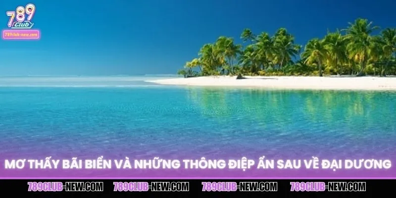 Mơ Thấy Bãi Biển Và Những Thông Điệp Ẩn Sau Về Đại Dương