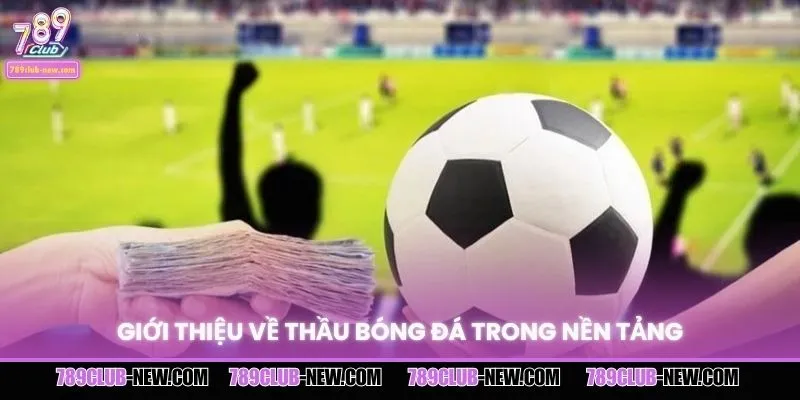 Giới thiệu về thầu bóng đá trong nền tảng