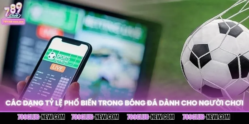 Các dạng tỷ lệ phổ biến trong bóng đá dành cho người chơi